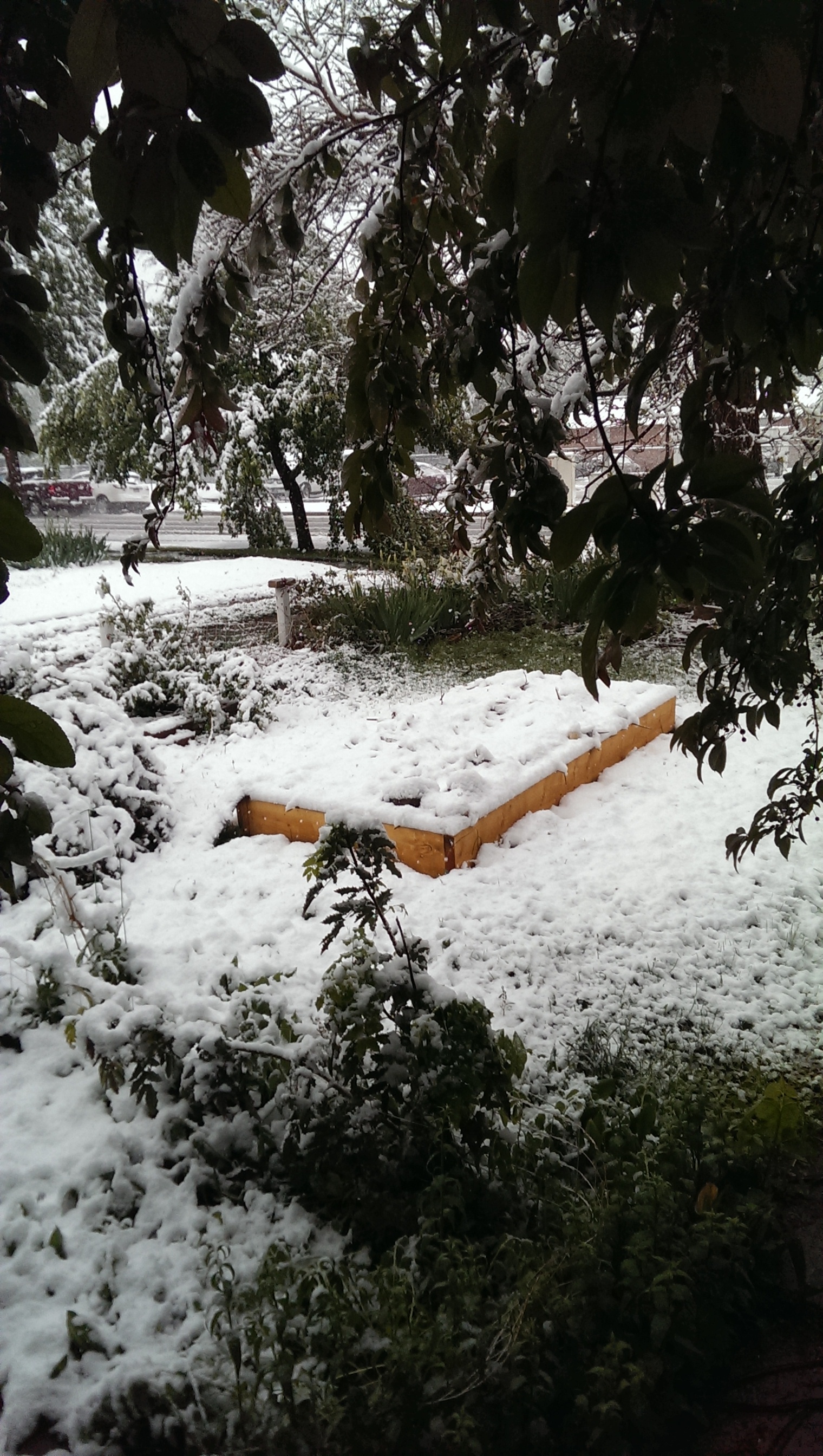 raised bed covered by snow
