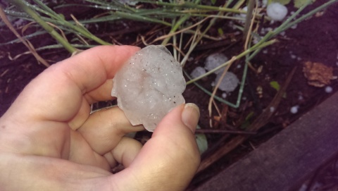 hail a woman's hand holding an inch-wide piece of hail