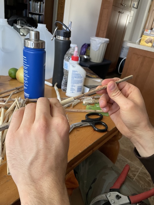 hollowing the stems