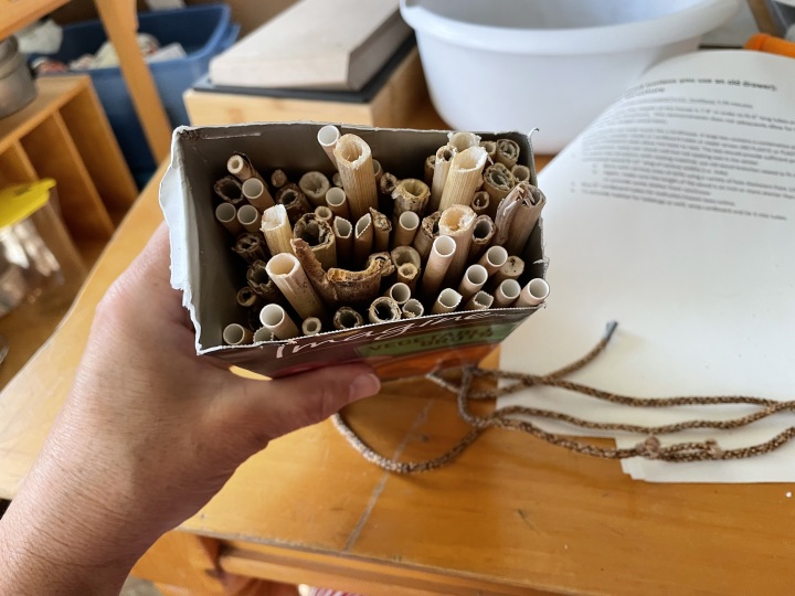 stems and straws inside box